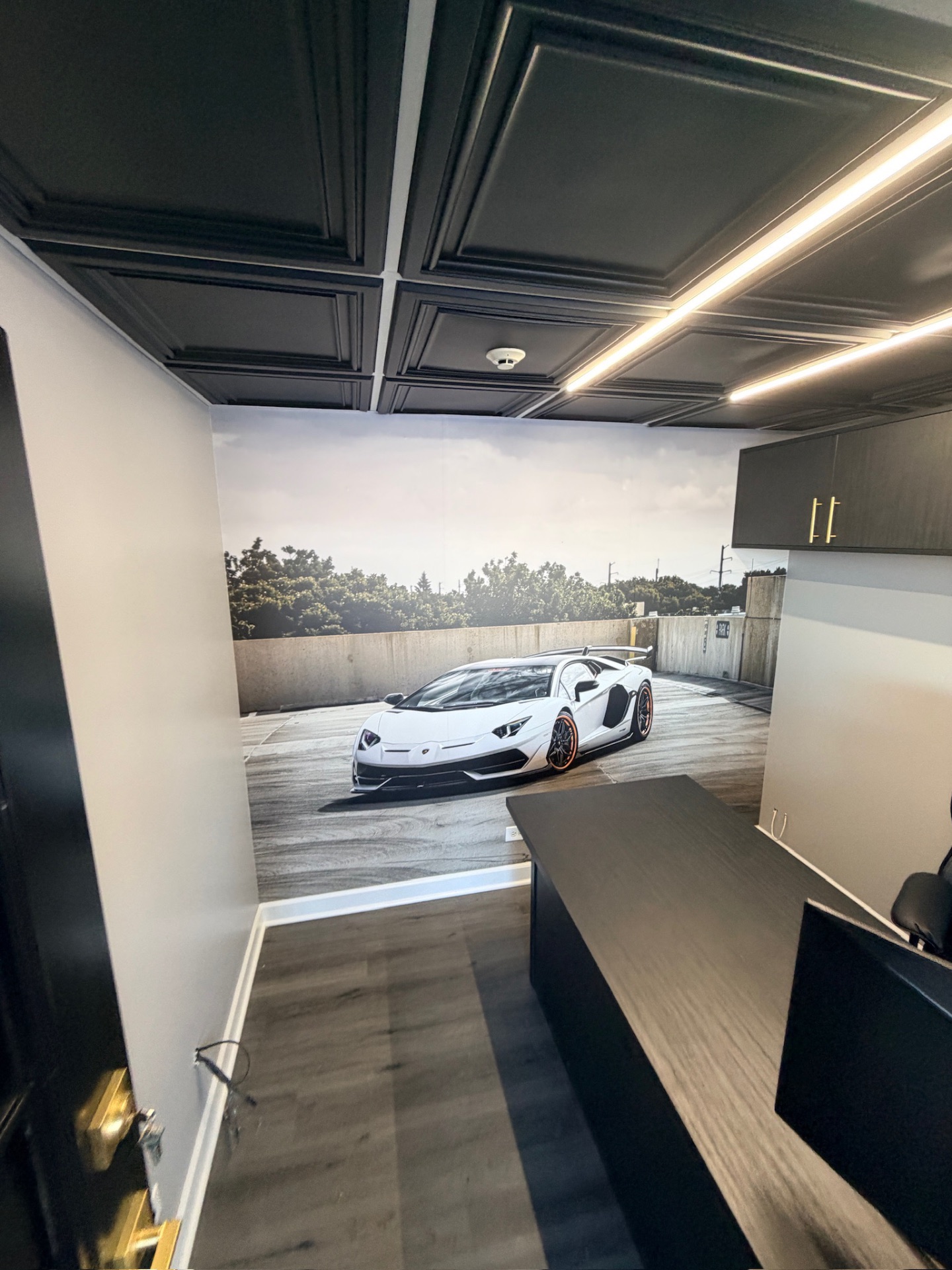 Wall Graphics & Custom Wallpaper